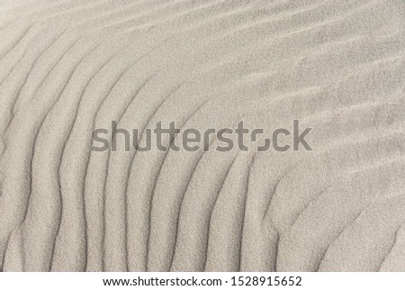 Wind shaped structure of a sand dune
