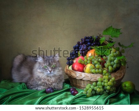 Still life with fruits basket and pretty gray kitty