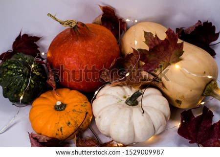 An arrangement of small colorful pumpkins in front of a white background, sometimes decorated with dried maple leaves and string lights