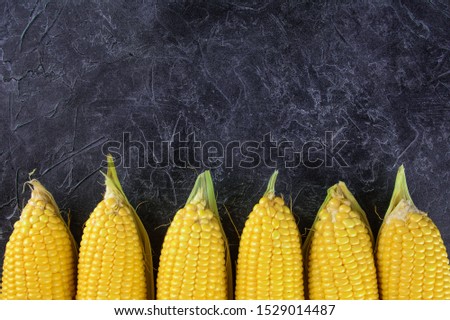 Corn on the black background.