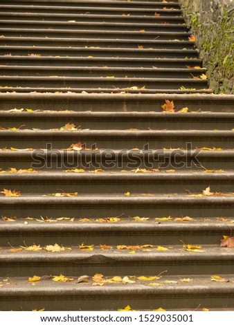 abstract picture with stone stairs and colored leaves, suitable for background