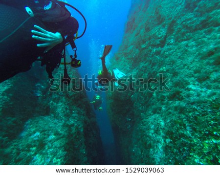 Diving in the Mediterranean Sea at ile d'or