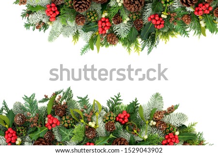 Winter and Christmas background border with holly, snow covered spruce fir, mistletoe, cedar and ivy leaves with pine cones on white with copy space.