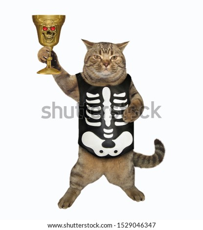 The cat in a skeleton costume drinks a magic potion from the golden goblet. White background. Isolated.