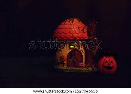  Halloween Day and Jack pumpkin 
