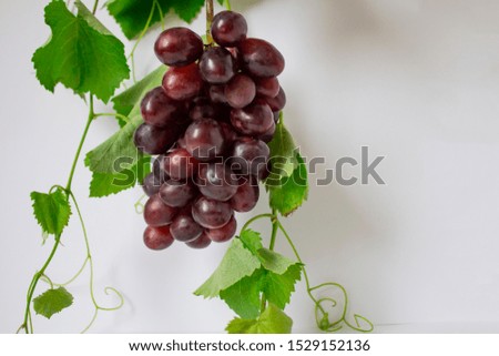 Bunches of fresh ripe red grapes on a wooden background. Ancient grapes. Red wine grapes.  blue grapes. Copyspace