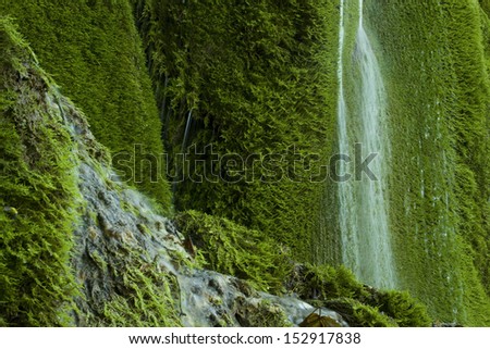 mossy waterfall 