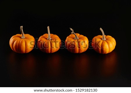 Multiple Natural Orange Pumpkins Isolated on Black Background with Reflection on a Dark Table in Fall Season for Thanksgiving and Halloween 