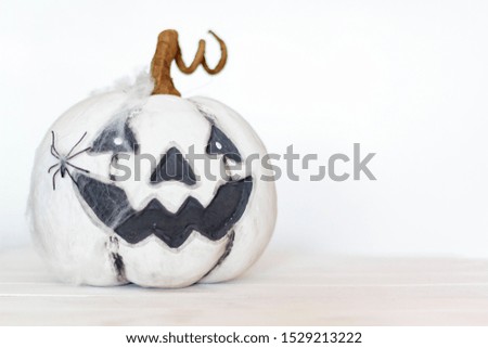 White halloween pumpkin with spider web and spider on white background with copy space