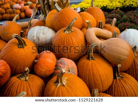 Pile of pumpkins and gourds at a fall market