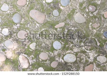 Pebbles that are lined with concrete Mixed for floor decoration in the house.