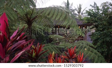 exotic villa in jungle of indonesia, bali