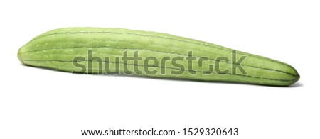 Fresh green sponge gourd or luffa with slice isolated on white background stock photo