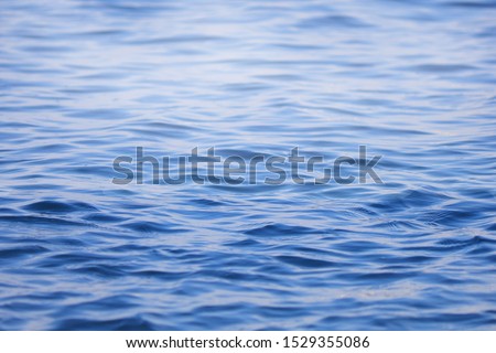 Blue sea water with fox background. For text or design.