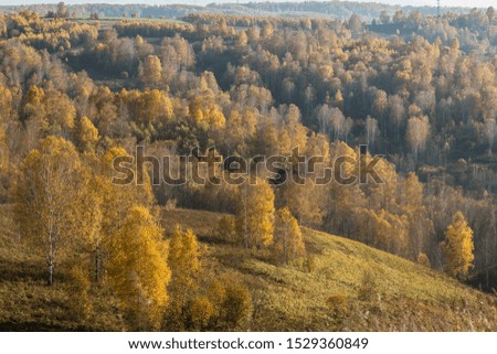 Golden Autumn in Siberia in late September
