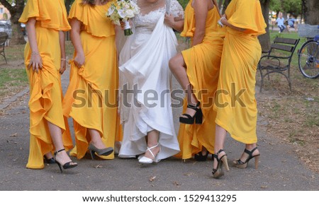 bride together with bridesmaids are taking a picture