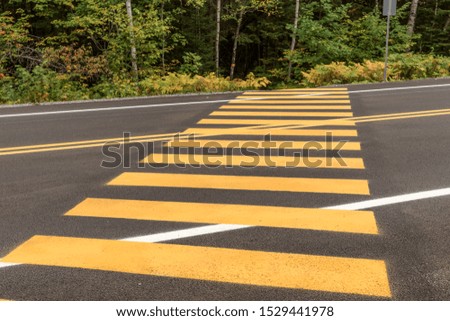 Pedestrian crossing. Yellow stripes on the dark street
