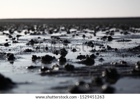wadden sea against the light, north germany