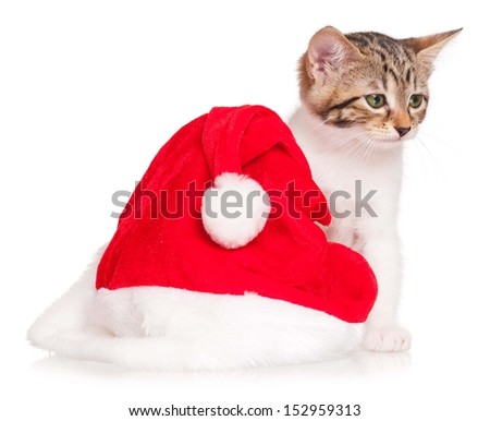 Sad little kitten with Santa's hat isolated on white background