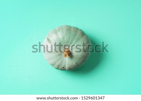 Natural organic pumpkin on trendy green background. Top view. Copy space. Autumn harvest concept.