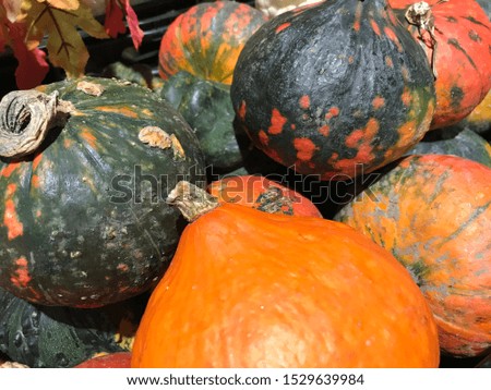 Small decorative Halloween pumpkins. Holiday in full use in shops.