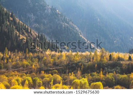 Beautiful landscape, autumn yellow forest and mountains. Kazakhstan