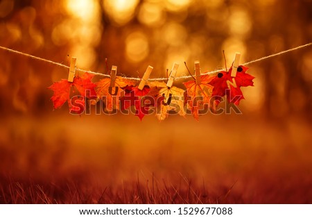 banner with letters and the name autumn carved on red maple leaves hanging on clothespins and rope in the autumn clear bright Park