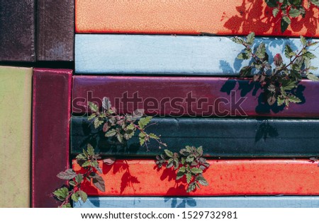 The area is covered with old multicolored brick, with small  trees growing in brick niches. It's a beautiful vintage background.