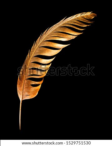 The feather is covered with gold paint close-up. Pen for calligraphy. Golden feather.