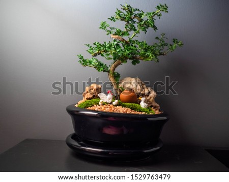 Bonsai at the bedroom with miniature chicken and duck Royalty-Free Stock Photo #1529763479