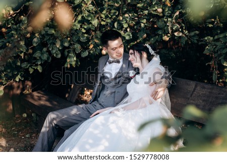 The bride sits in the arms of her fiance.Happy newlyweds enjoy a walk in the park.