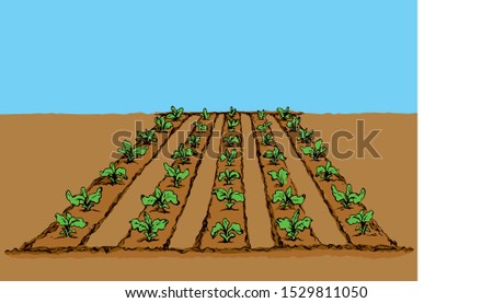 Eco green early lush raw soy bush flora culture sow on tillage furrow mulch patch on blue sky background. Bright color hand drawn yield scene sketch in retro doodle cartoon style with space for text Royalty-Free Stock Photo #1529811050