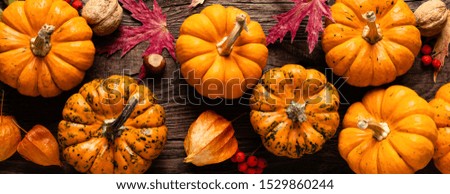 Autumn decorative pumpkins with fall leaves on wooden background. Thanksgiving or halloween holiday, harvest concept. Top view, copy spae, banner
