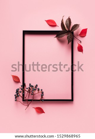 Fall and autumn flat lay frame  leaves creative on pink background, flora, leaf  in poster, mockup, copy space