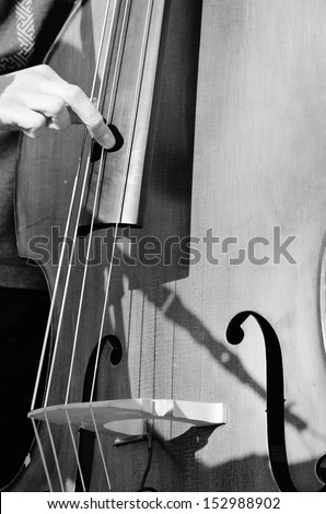 cello double bass with hand plucking string stock, photo, photograph, image, picture, 
