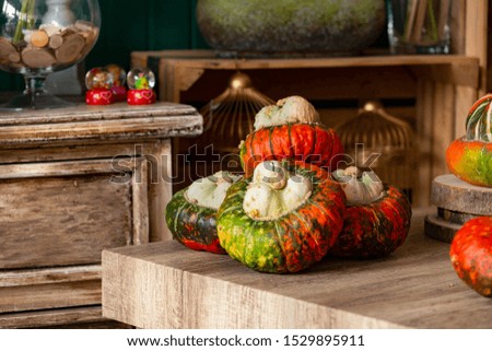 Halloween decoration with pumpkins. Thanksgiving pumpkins on a rustic wooden table with lights. Harvest Concept. Luxury rustic decoration
