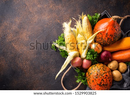 Various autumn vegetables. Pumpkin, carrot, potato and corn. Harvest concept