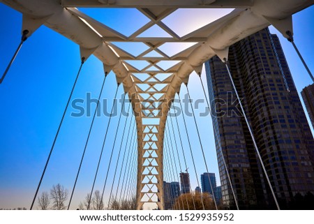 Humber Bay Arch Bridge Toronto(White bridge)
                        