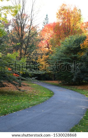 Beautiful autumn colors in Van Dusen Botanical Gardens, Vancouver, British Columbia, Canada