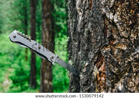 Metal tourist folding knife stuck in tree trunk