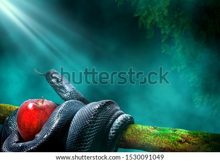 Black snake with an apple fruit in a branch of a tree. Forbidden fruit concept. Royalty-Free Stock Photo #1530091049