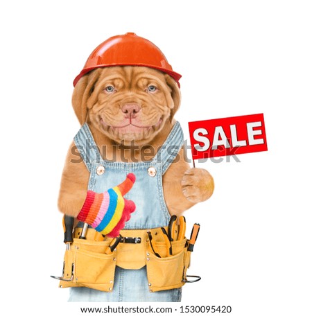 Smiling puppy worker with tool belt and hardhat  holds sales symbol and showing thumbs up. Isolated on white background