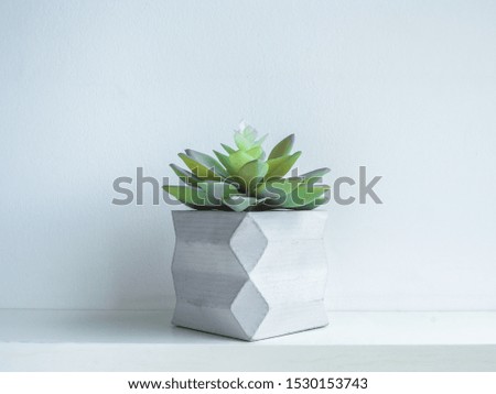 Concrete pot minimal style. Green succulent plant in modern geometric concrete planter on wooden white shelf isolated on white background.