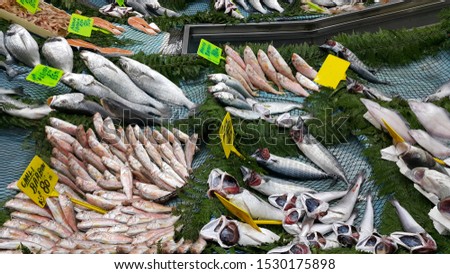 fish lined up in fish stall for sale.