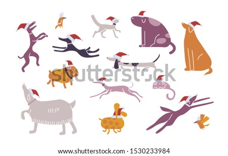 Funny Christmas pet set. Winter fun. Collection of Happy friends play, walk outdoor. Animals celebrate new year. Shelter party for dogs, cats, birds. Holiday vector illustration isolated on white