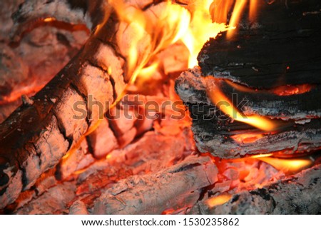 Picture in the fire , burning wood.