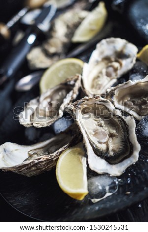 Open oysters with ice, close up. Royalty-Free Stock Photo #1530245531
