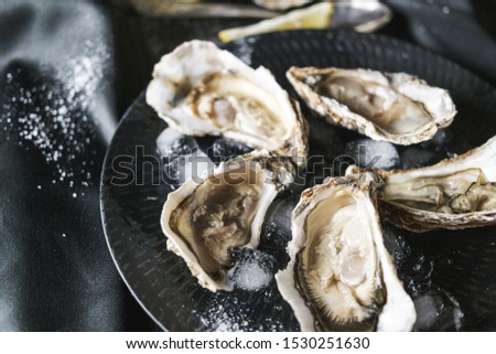 Open oysters with lemon in a black plate Royalty-Free Stock Photo #1530251630