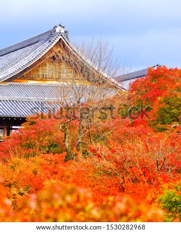 View of the Tofuku-ji Temple in autumn with colorful trees in Kyoto, Japan.