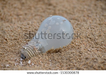 Light bulbs on the beach, environmental pollution concept picture. Hazardous waste on the beach.